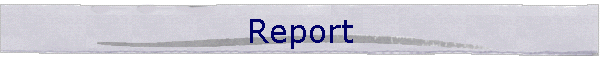 Report