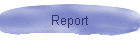 Report